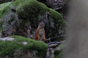 DSCF2962.JPG