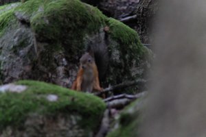 DSCF2963.JPG