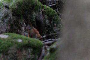 DSCF2964.JPG