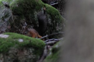 DSCF2965.JPG