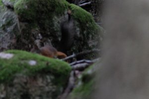 DSCF2966.JPG