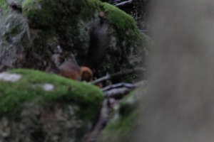 DSCF2967.JPG