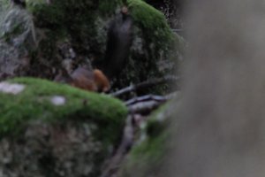 DSCF2968.JPG