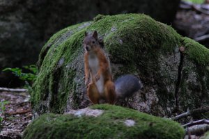 DSCF2970.JPG