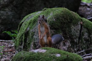 DSCF2971.JPG