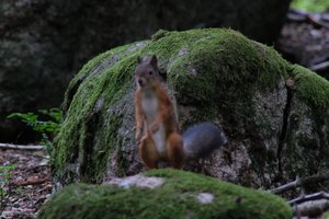 DSCF2972.JPG