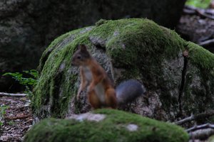 DSCF2974.JPG