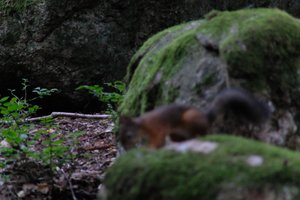 DSCF2976.JPG