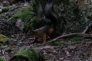 DSCF2977.JPG