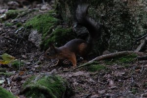 DSCF2978.JPG