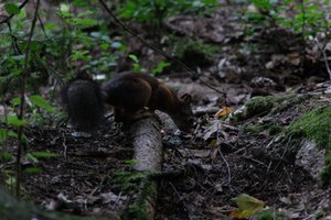 DSCF2979.JPG
