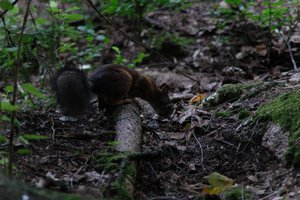 DSCF2980.JPG