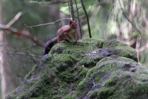 DSCF2991.JPG