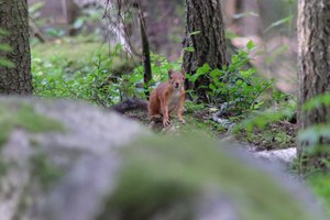 DSCF3031.JPG