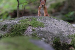 DSCF3049.JPG