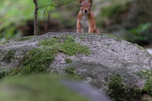 DSCF3050.JPG