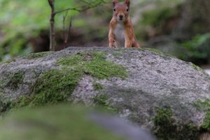 DSCF3051.JPG