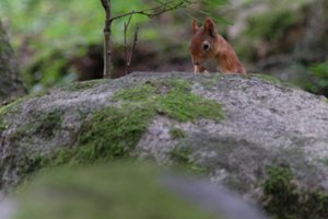 DSCF3053.JPG