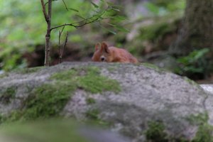 DSCF3057.JPG