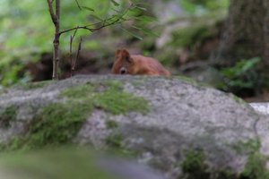 DSCF3058.JPG