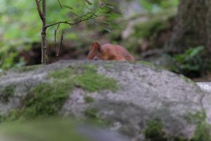 DSCF3059.JPG