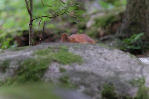 DSCF3060.JPG
