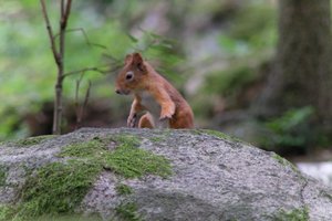 DSCF3061.JPG