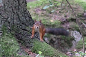 DSCF3072.JPG