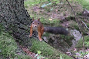 DSCF3073.JPG
