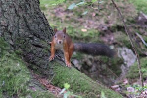 DSCF3074.JPG