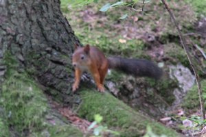 DSCF3077.JPG