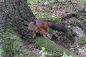 DSCF3078.JPG