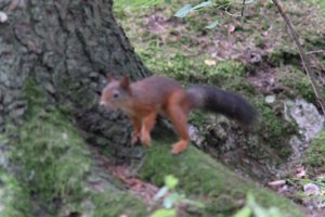 DSCF3079.JPG