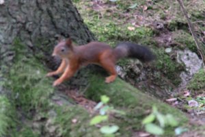 DSCF3080.JPG