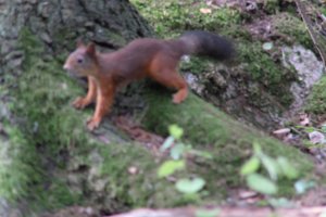 DSCF3081.JPG