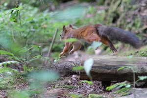 DSCF3091.JPG