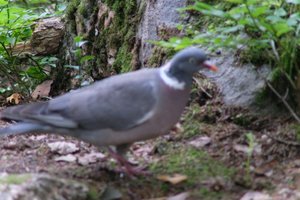 DSCF3117.JPG