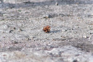 DSCF3123.JPG