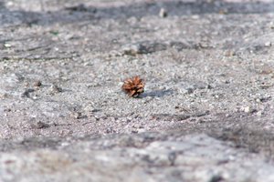 DSCF3127.JPG