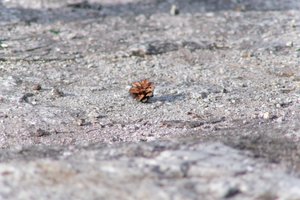 DSCF3128.JPG