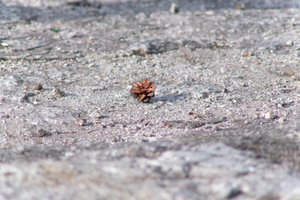 DSCF3129.JPG