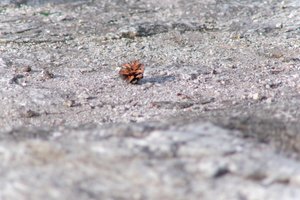 DSCF3133.JPG