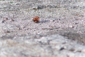 DSCF3134.JPG