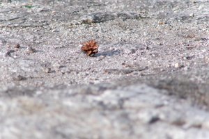 DSCF3135.JPG