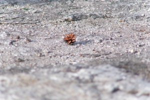 DSCF3139.JPG