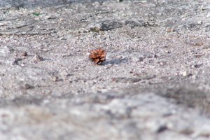 DSCF3140.JPG