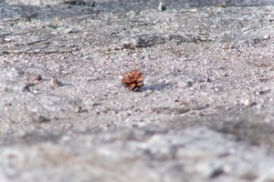 DSCF3143.JPG