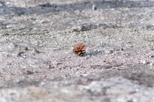DSCF3148.JPG