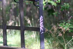 DSCF3150.JPG