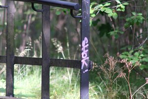 DSCF3158.JPG